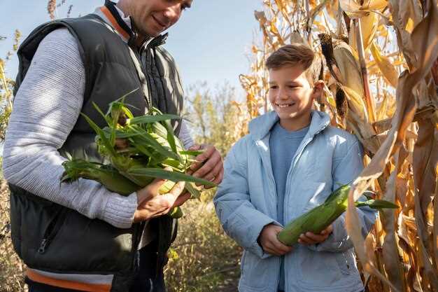 Demander un microcrédit agricole : les étapes à suivre